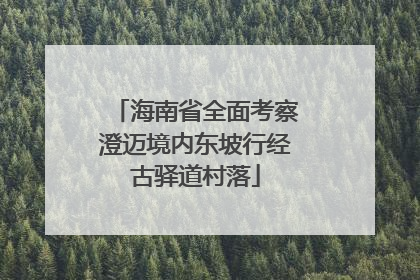 海南省全面考察澄迈境内东坡行经古驿道村落