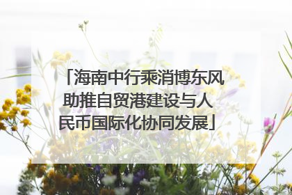 海南中行乘消博东风 助推自贸港建设与人民币国际化协同发展