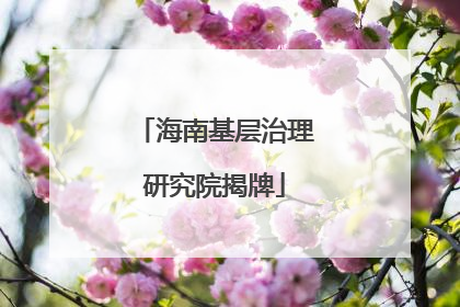 海南基层治理研究院揭牌