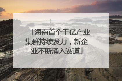 海南首个千亿产业集群持续发力，新企业不断涌入赛道