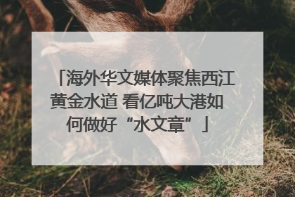 海外华文媒体聚焦西江黄金水道 看亿吨大港如何做好“水文章”