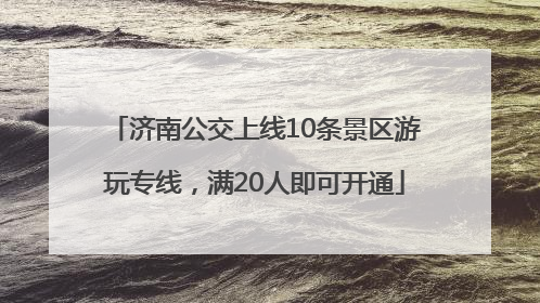 济南公交上线10条景区游玩专线，满20人即可开通