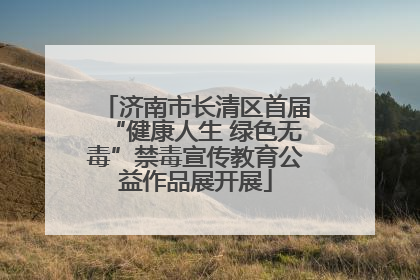 济南市长清区首届“健康人生 绿色无毒”禁毒宣传教育公益作品展开展
