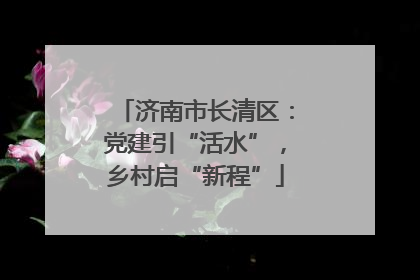 济南市长清区：党建引“活水”，乡村启“新程”