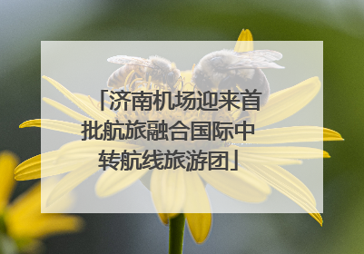 济南机场迎来首批航旅融合国际中转航线旅游团