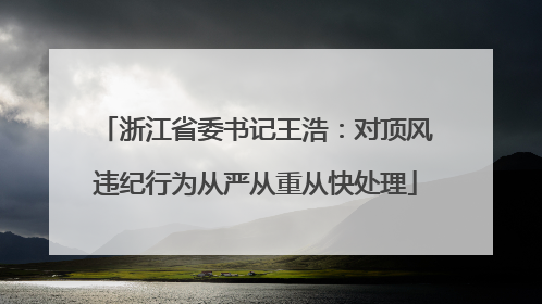 浙江省委书记王浩：对顶风违纪行为从严从重从快处理