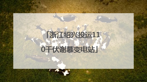 浙江绍兴投运110千伏谢慕变电站