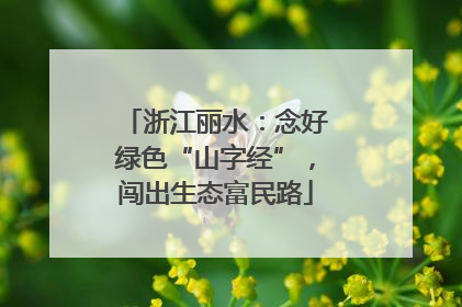 浙江丽水：念好绿色“山字经”，闯出生态富民路