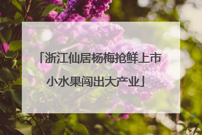 浙江仙居杨梅抢鲜上市 小水果闯出大产业