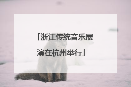 浙江传统音乐展演在杭州举行