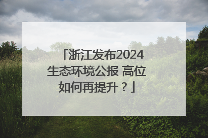 浙江发布2024生态环境公报 高位如何再提升？