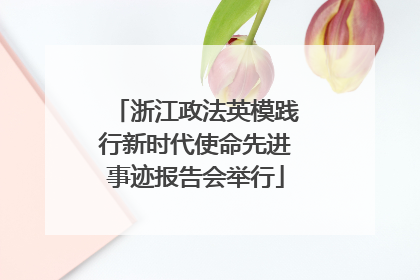浙江政法英模践行新时代使命先进事迹报告会举行