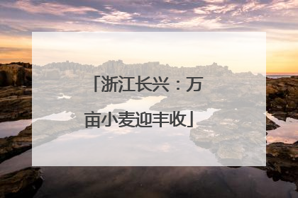 浙江长兴：万亩小麦迎丰收