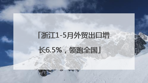浙江1-5月外贸出口增长6.5%，领跑全国