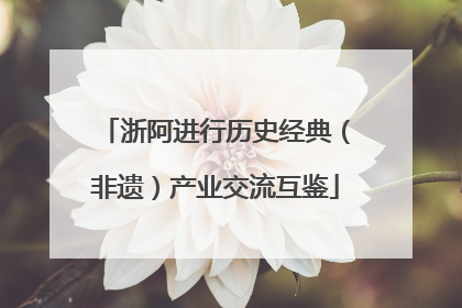 浙阿进行历史经典（非遗）产业交流互鉴