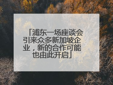 浦东一场座谈会引来众多新加坡企业，新的合作可能也由此开启