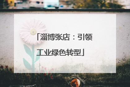 淄博张店：引领工业绿色转型
