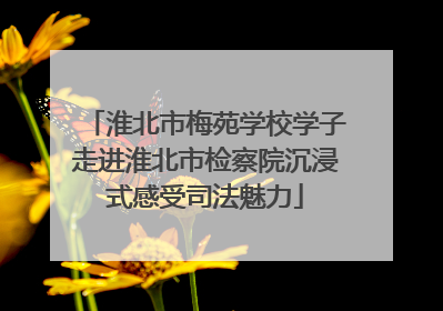 淮北市梅苑学校学子走进淮北市检察院沉浸式感受司法魅力