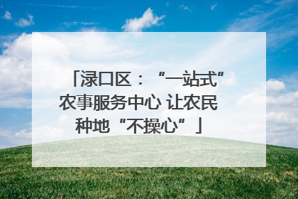 渌口区：“一站式”农事服务中心 让农民种地“不操心”