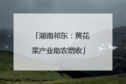 湖南祁东：黄花菜产业助农增收