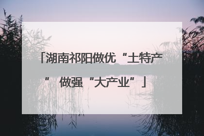 湖南祁阳做优“土特产” 做强“大产业”