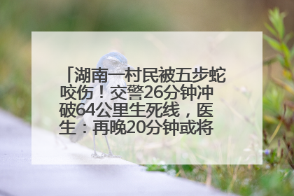 湖南一村民被五步蛇咬伤！交警26分钟冲破64公里生死线，医生：再晚20分钟或将呼吸肌麻痹