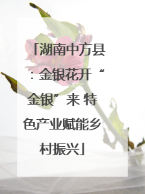 湖南中方县：金银花开“金银”来 特色产业赋能乡村振兴