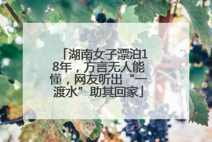 湖南女子漂泊18年，方言无人能懂，网友听出“一渡水”助其回家