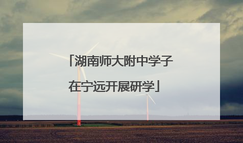 湖南师大附中学子在宁远开展研学