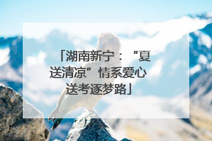 湖南新宁：“夏送清凉”情系爱心送考逐梦路