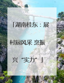 湖南桂东：展村厨风采 烹振兴“实力”