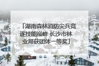 湖南森林消防尖兵竞逐技能巅峰 长沙市林业局获团体一等奖