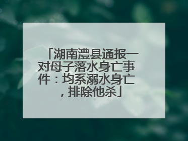 湖南澧县通报一对母子落水身亡事件：均系溺水身亡，排除他杀