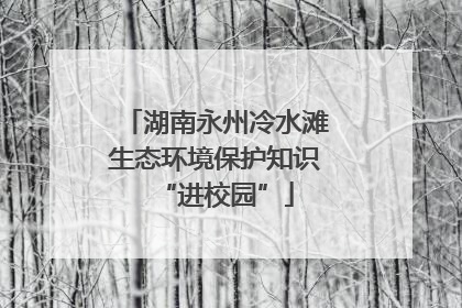湖南永州冷水滩生态环境保护知识“进校园”
