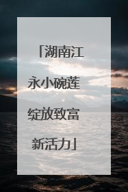 湖南江永小碗莲绽放致富新活力