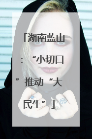 湖南蓝山：“小切口”推动“大民生”