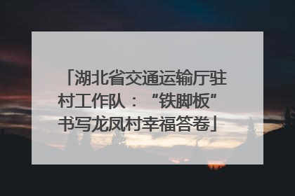 湖北省交通运输厅驻村工作队：“铁脚板”书写龙凤村幸福答卷