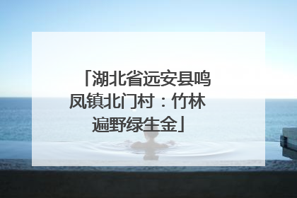 湖北省远安县鸣凤镇北门村：竹林遍野绿生金