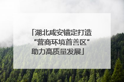 湖北咸安锚定打造“营商环境首善区”助力高质量发展