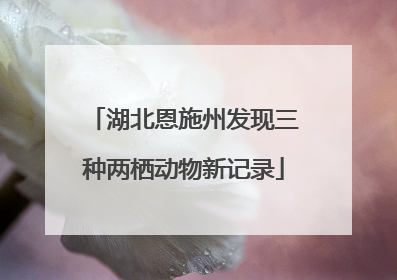 湖北恩施州发现三种两栖动物新记录