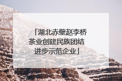 湖北赤壁赵李桥茶业创建民族团结进步示范企业