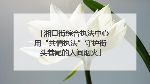 湘口街综合执法中心用“共情执法”守护街头巷尾的人间烟火