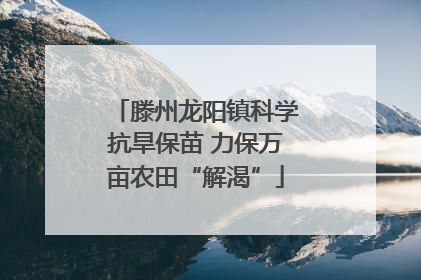 滕州龙阳镇科学抗旱保苗 力保万亩农田“解渴”