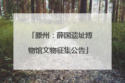 滕州：薛国遗址博物馆文物征集公告