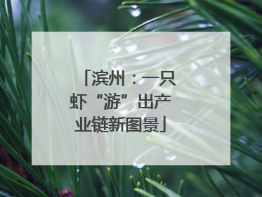 滨州：一只虾“游”出产业链新图景