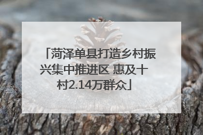 菏泽单县打造乡村振兴集中推进区 惠及十村2.14万群众