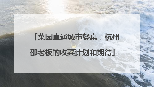 菜园直通城市餐桌，杭州邵老板的收菜计划和期待