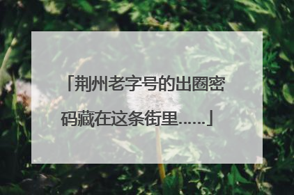 荆州老字号的出圈密码藏在这条街里……