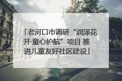 老河口市调研“润泽花开·童心护航”项目 推进儿童友好社区建设