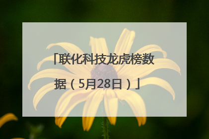 联化科技龙虎榜数据（5月28日）